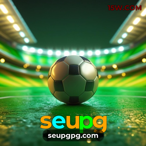 Métodos de pagamento aceitos na seupg